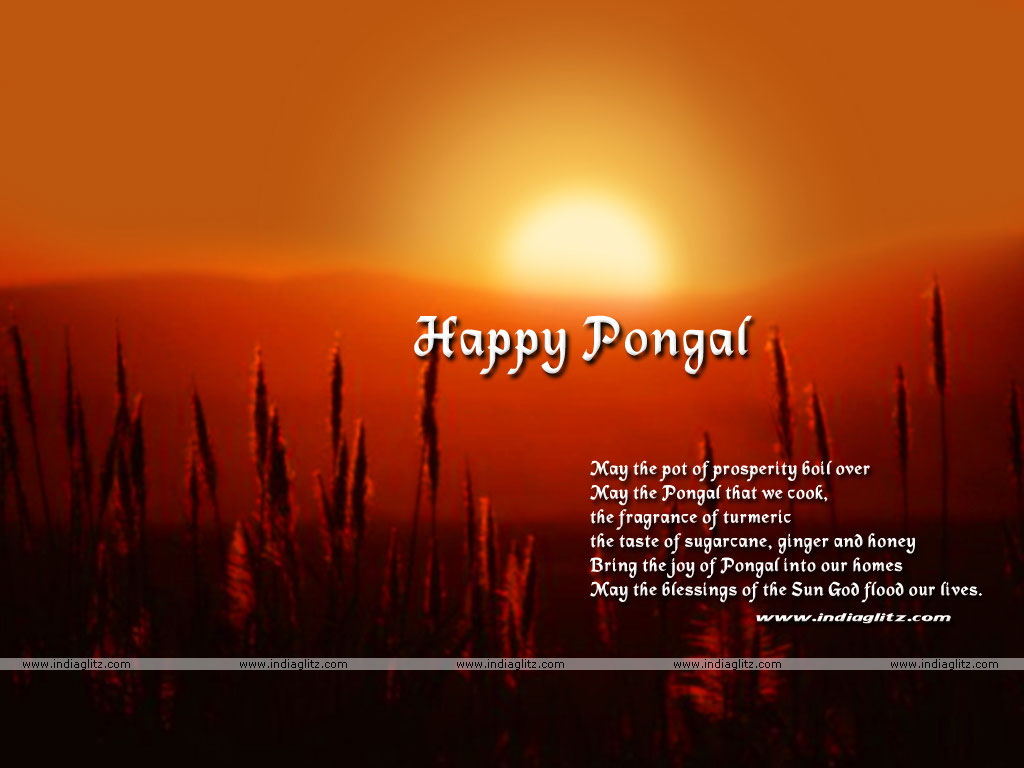 Pongal Wishes Wallpapers Download